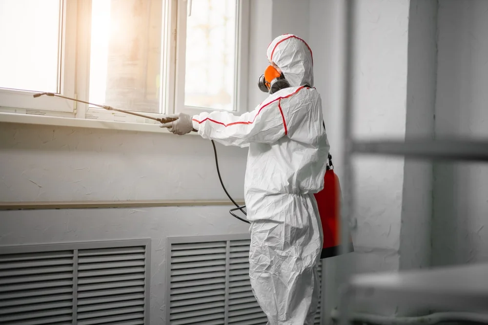 Professional mold remediation services in Jackman, ME